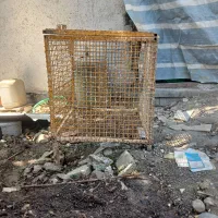 سطل زباله دست دو