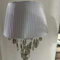 شب خواب ایستاده