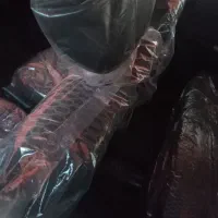 سایناs|خودرو سواری و وانت|اراک, |دیوار