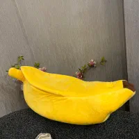 جای بازی گربه موزی شکل اروپایی