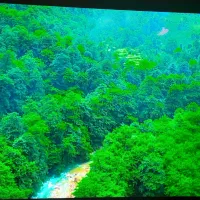 تلویزیون65 اینچ LG QNED 90|تلویزیون و پروژکتور|اندیشه, اندیشه فاز ۴|دیوار