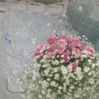 نیرو خانم