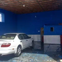 استخدام نیرو کارواش