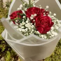 هنر زیباا