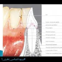 تدریس دروس متوسطه