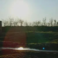 فروش-زمین