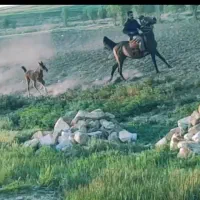 مادیون اصل درشور وبازی کن بدونه هیچ مشکلی