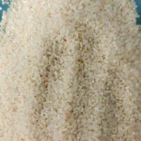 خرید و فروش برنج اهنگرمحله لاشه نیم دانه