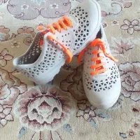 کفشهای زنانه ومردانه نووکارکرده|کیف، کفش، کمربند|ری, دولت‌آباد|دیوار