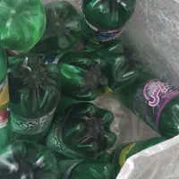 ظرف نگهدارنده|ظروف نگهدارنده، پلاستیکی، یک‌بارمصرف|دوگنبدان, |دیوار