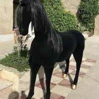 مجسمه مدرن|مجسمه، تندیس، ماکت|خرم‌آباد, |دیوار