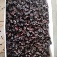 خرید وفروش انواع کشمش ومویز آفتابی شهرک گلستان|عمدهفروشی|شیراز, غدیر شمالی|دیوار