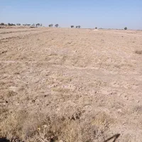 20000متر زمین کشاورزی