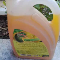 جرمگیر سرویس بهداشتی