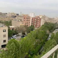 صیادپشت-پیروزی-صفر-غرق-نور-ویوپارک-50-درصدمعاوضه