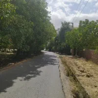 ۸۶۶متر زمین ویلایی سند شش دانگ شلمبه