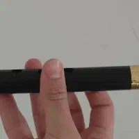 ساز دهنی (فلوت)