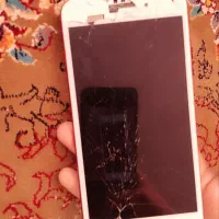 آیفون۷ پلاس|موبایل|تبریز, |دیوار