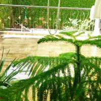 فروش ویلایی 250متری عرض 10 قبل معلم