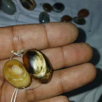 سنگ|جواهرات|آبادان, |دیوار
