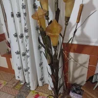 آباژور