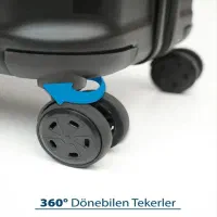 چمدان|کیف، کفش، کمربند|قم, چهل درخت‎|دیوار