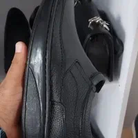 کفش طبی دکتر شول|کیف، کفش، کمربند|شیراز, ریاستی|دیوار