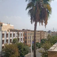 اجاره روزانه/هفتگی آپارتمان ۱۲۰ متری در سینما سعدی|اجارهٔ کوتاه‌مدت آپارتمان و سوئیت|شیراز, سینما سعدی|دیوار