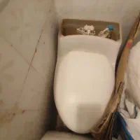 تولت فرنگی