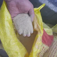 گوگرد معدنی ۲۵درصد|خدمات باغبانی و درختکاری|ساوه, |دیوار