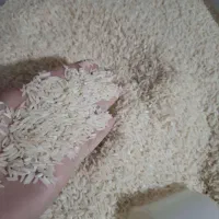 برنج طارم هاشمی و دونوج