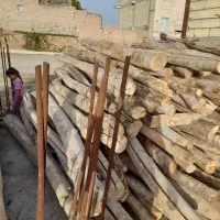 خریدو فروش چوب|عمده‌فروشی|ایجرود, |دیوار