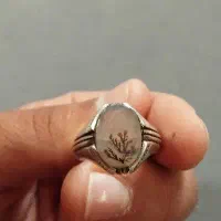 انگشتر شجر. عقیق