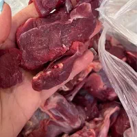 الایش شترمرغ