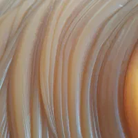 انواع گریس نسوز و کلسیوم برای بلبرنگ و روانکاری|قطعات یدکی و لوازم جانبی|اصفهان, لنبان|دیوار