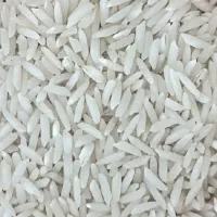 برنج ونیم دانه طارم هاشمی فریدونکنار