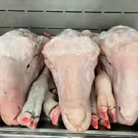 پاک کردن کله پاچه و شکمه