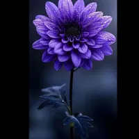 راهنمای کار در منزل