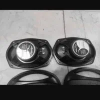 باند پایونیر|آلات موسیقی|رشت, باهنر|دیوار