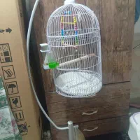 قفس پایه دار سالم در حد نو