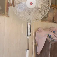 پنکه|پنکه و تصفیه‌کنندهٔ هوا|زابل, |دیوار