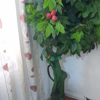 درخت مصنوعی|گل و گیاه طبیعی|سرپل ذهاب, |دیوار