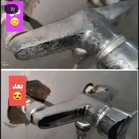 عرضه شوینده های سلامت محور ارجینال نانو|مواد شوینده و دستمال کاغذی|شاهرود, |دیوار