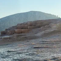 جذب نیروی کار