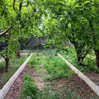 باغچه ماهدشت|فروش خانه و ویلا|ماهدشت, |دیوار