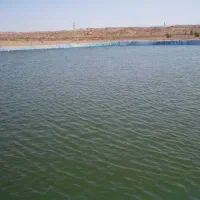 دامداری و مزرعه فول امکانات