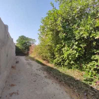 فروش باغ بنه گز/ بر بزرگراه چغادک ـ دیر|فروش خانه و ویلا|اهرم, |دیوار