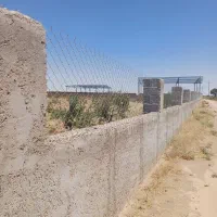 زمین باغی ۷۵۰ متر مامونیه|فروش زمین و ملک کلنگی|تهران, صادقیه|دیوار