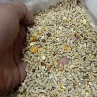 دان|لوازم جانبی حیوانات|تهران, شهید رجایی|دیوار