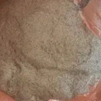 کپک برنج تازه